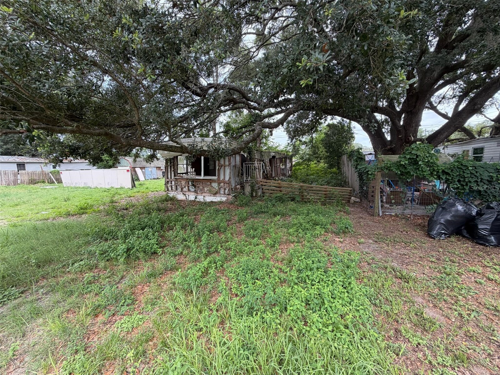 39215 Orient Avenue Zephyrhills FL 33542 O6413583 image3