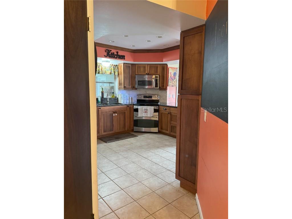 3922 Lake Joyce Drive Land O Lakes FL 34639 TB8333772 image11