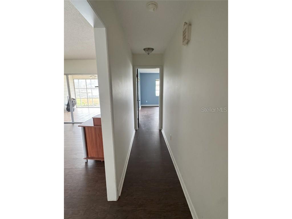 3922 Lake Joyce Drive Land O Lakes FL 34639 TB8333772 image39