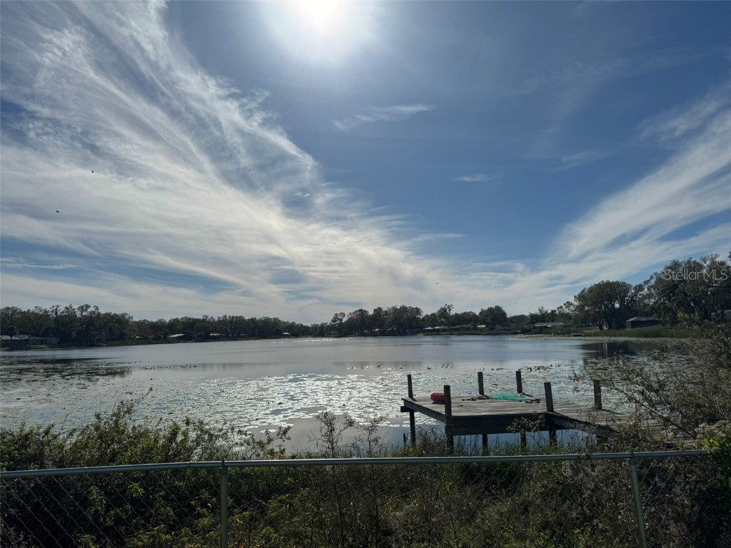 3922 Lake Joyce Drive Land O Lakes FL 34639 TB8333772 image5