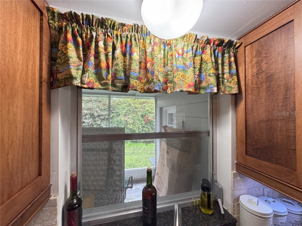 3922 Lake Joyce Drive Land O Lakes FL 34639 TB8333772 image56