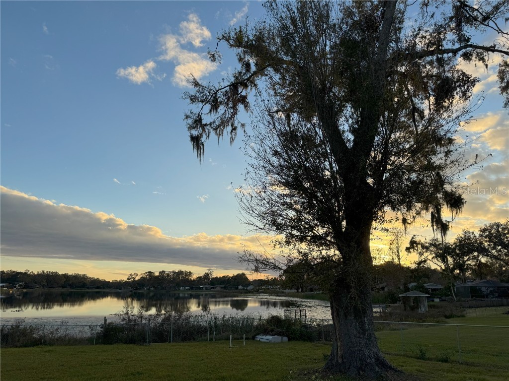 3922 Lake Joyce Drive Land O Lakes FL 34639 TB8333772 image57