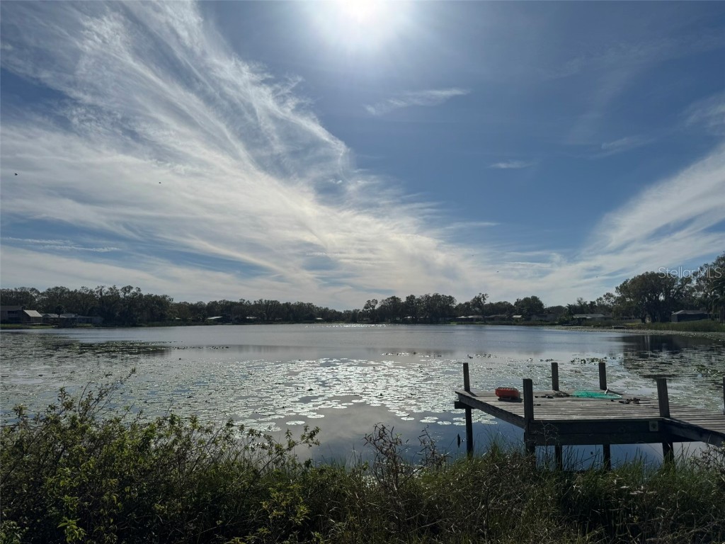 3922 Lake Joyce Drive Land O Lakes FL 34639 TB8333772 image6