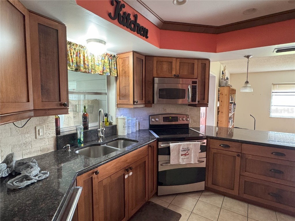 3922 Lake Joyce Drive Land O Lakes FL 34639 TB8333772 image62