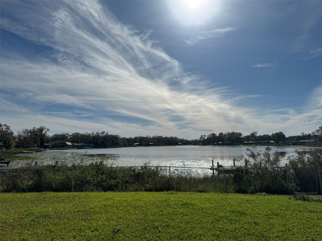 3922 Lake Joyce Drive Land O Lakes FL 34639 TB8333772 image8