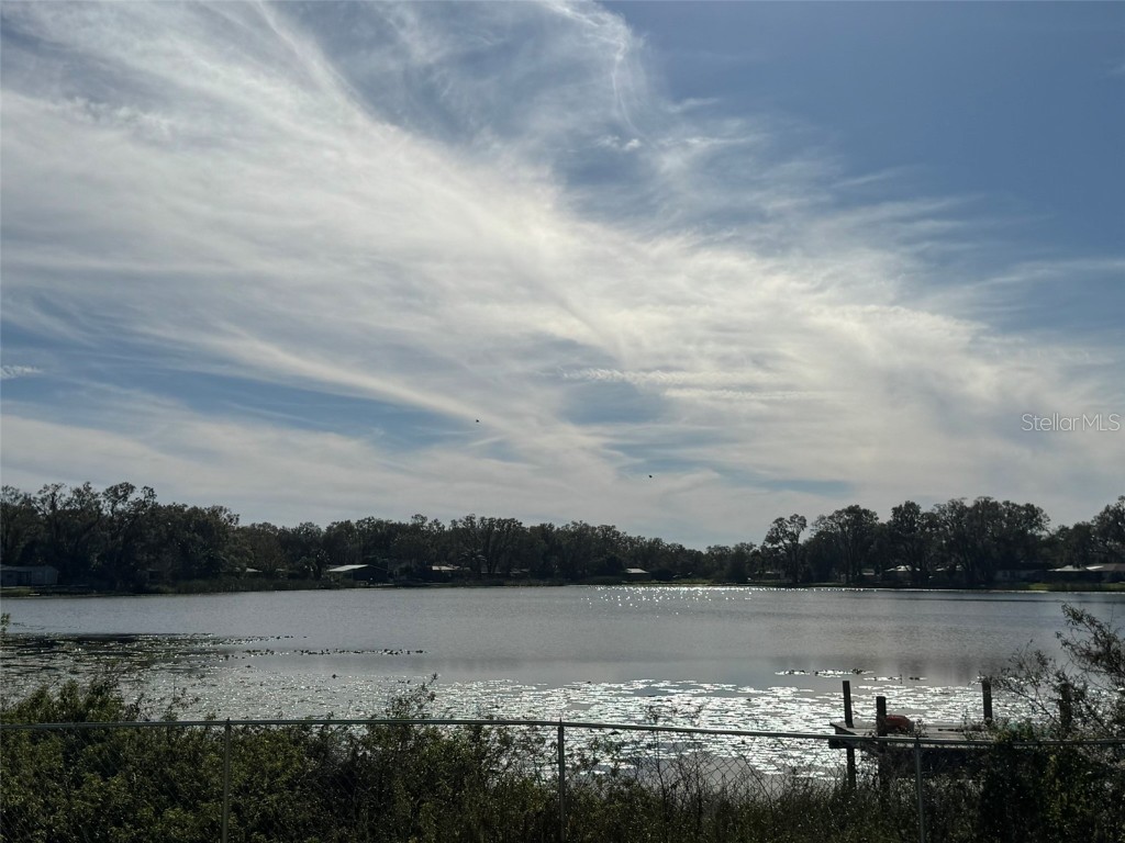 3922 Lake Joyce Drive Land O Lakes FL 34639 TB8333772 image9