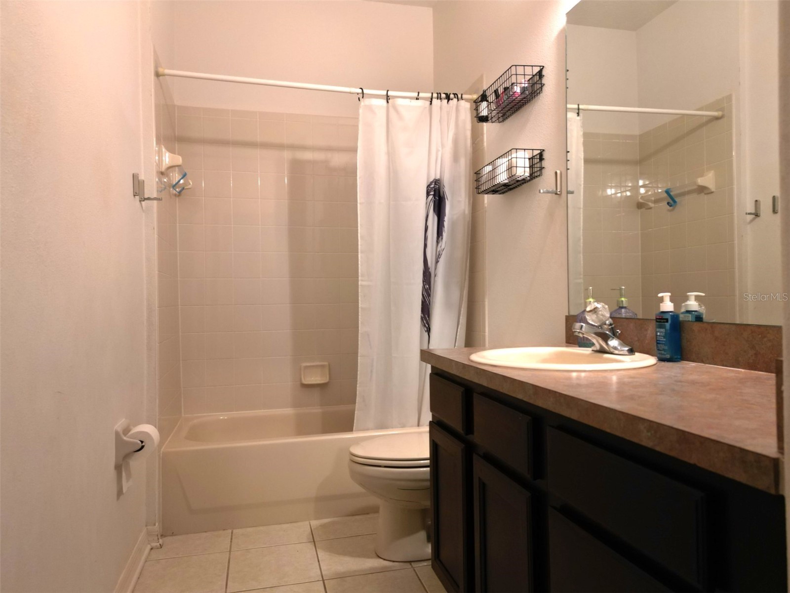3922 Langdrum Drive Wesley Chapel FL 33543 TB8508326 image19