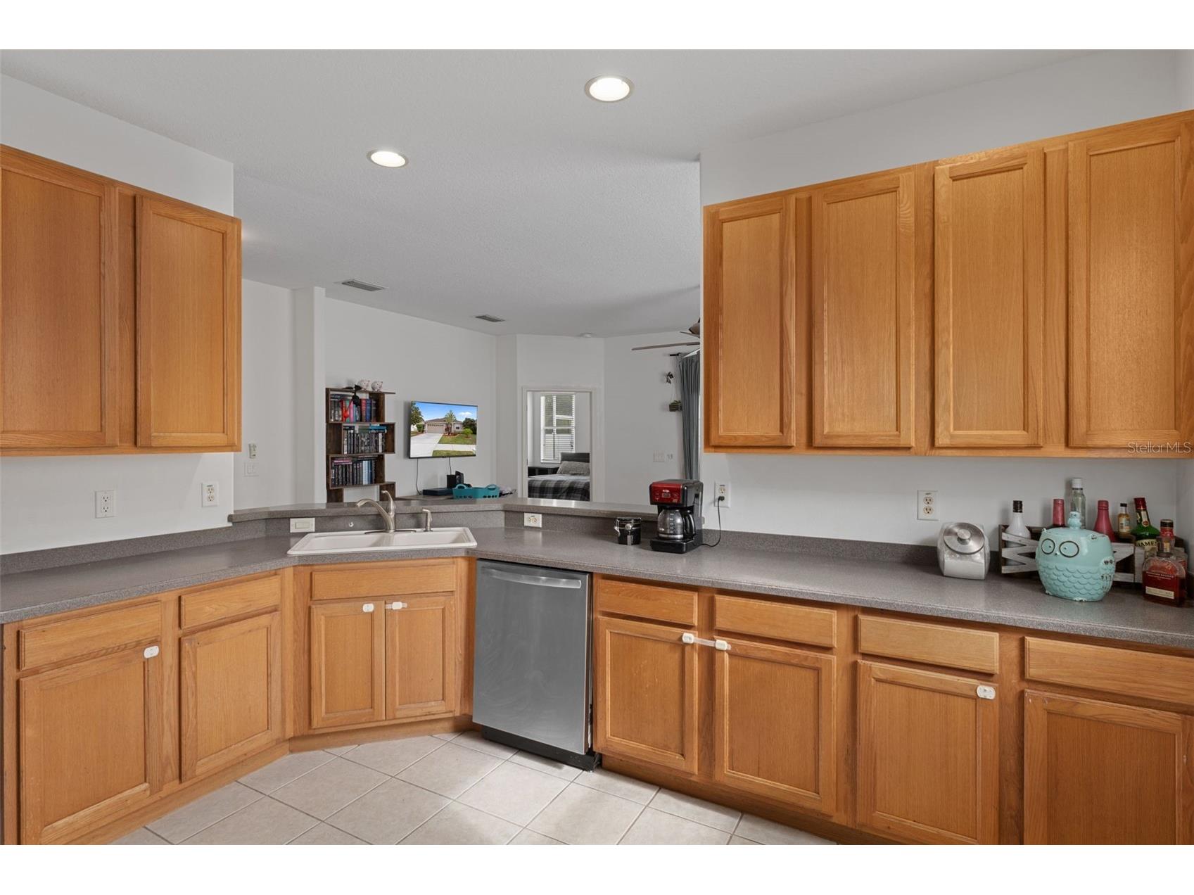 3922 Langdrum Drive Wesley Chapel FL 33543 TB8508326 image9