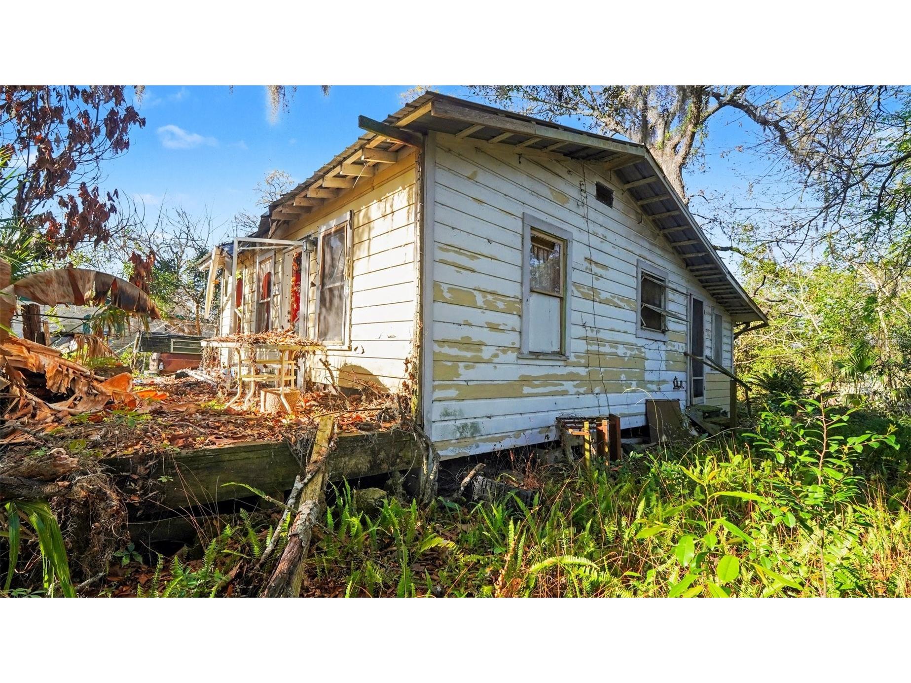 3922 NE 16th Court Ocala FL 34479 O6389675 image2