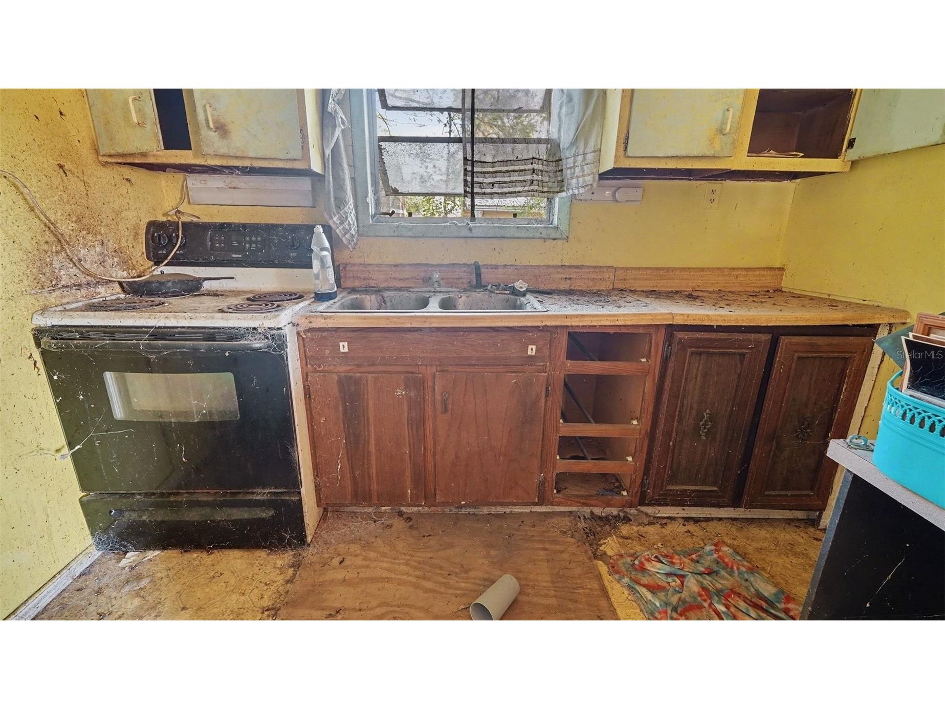 3922 NE 16th Court Ocala FL 34479 O6389675 image4