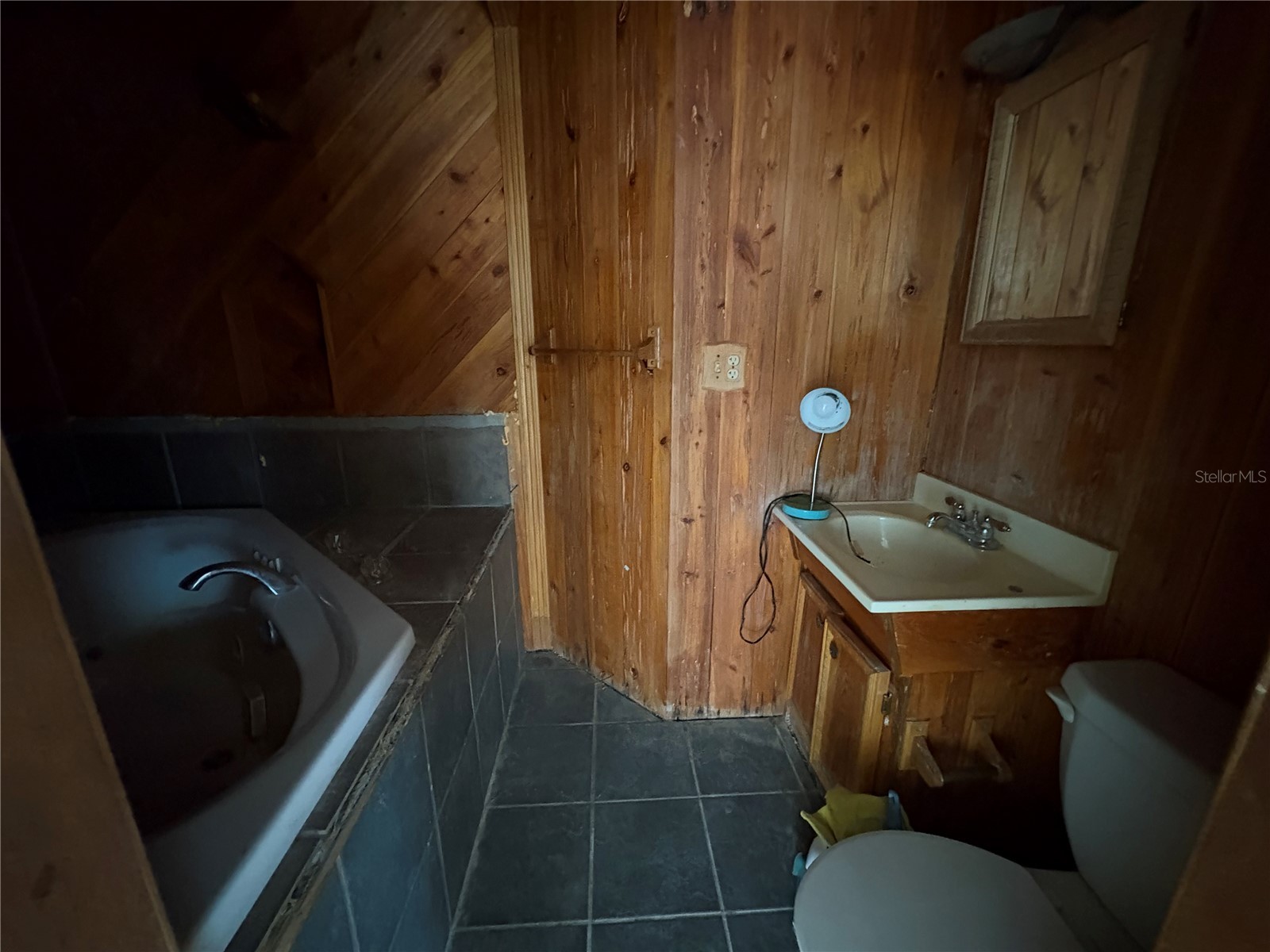 3922 S Apopka Avenue Inverness FL 34452 TB8495011 image19