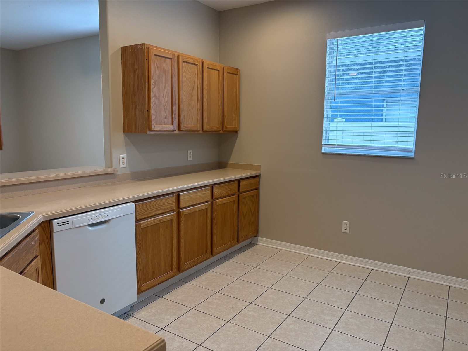 3922 Washburn Place Wesley Chapel FL 33543 TB8525928 image8
