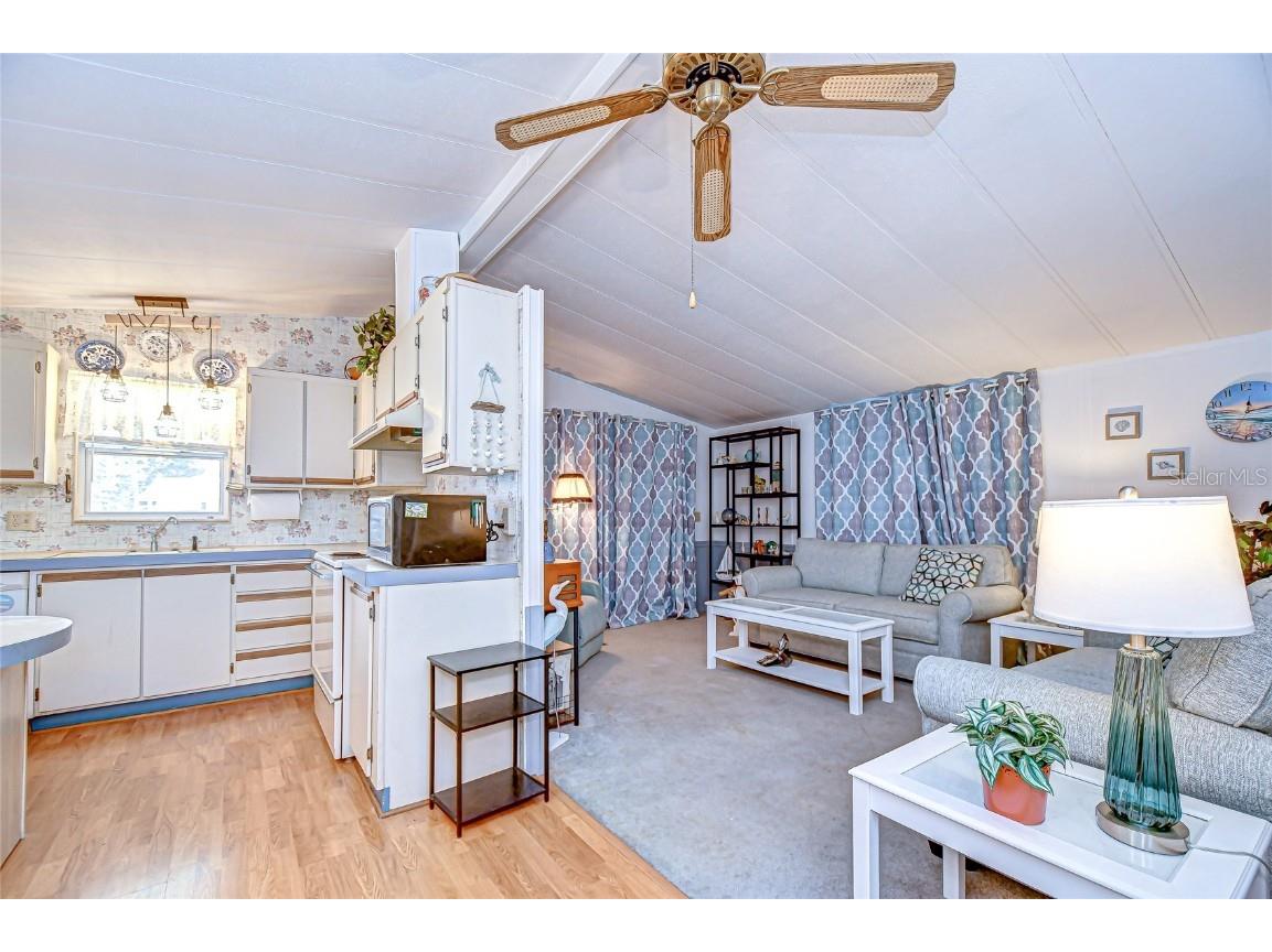 3922 William Hume Drive Zephyrhills FL 33541 TB8433321 image10