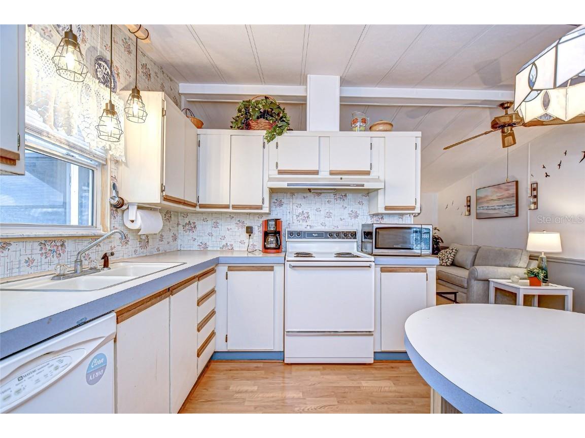 3922 William Hume Drive Zephyrhills FL 33541 TB8433321 image5