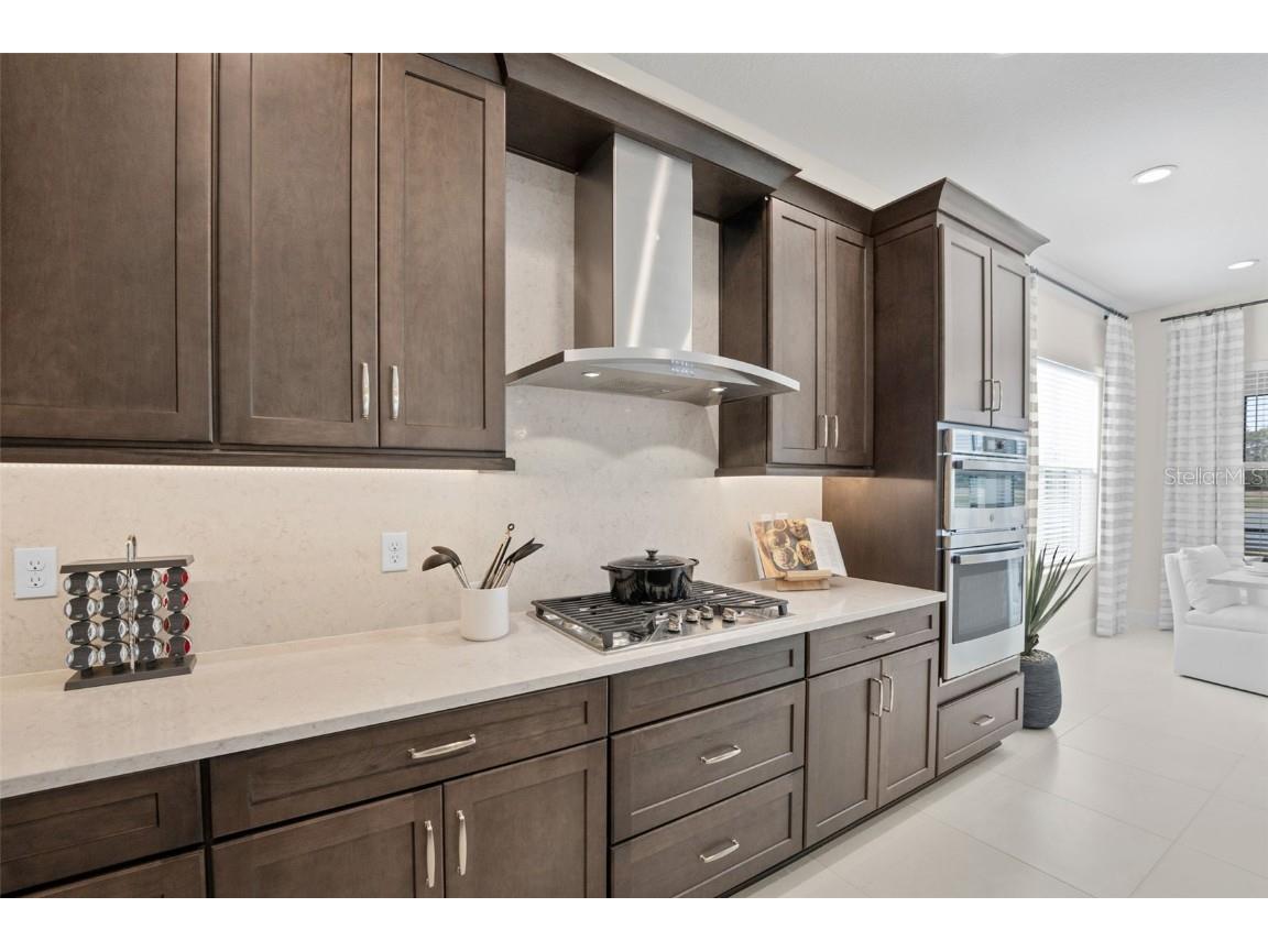 3923 Corsica Place Wesley Chapel FL 33543 TB8381732 image12