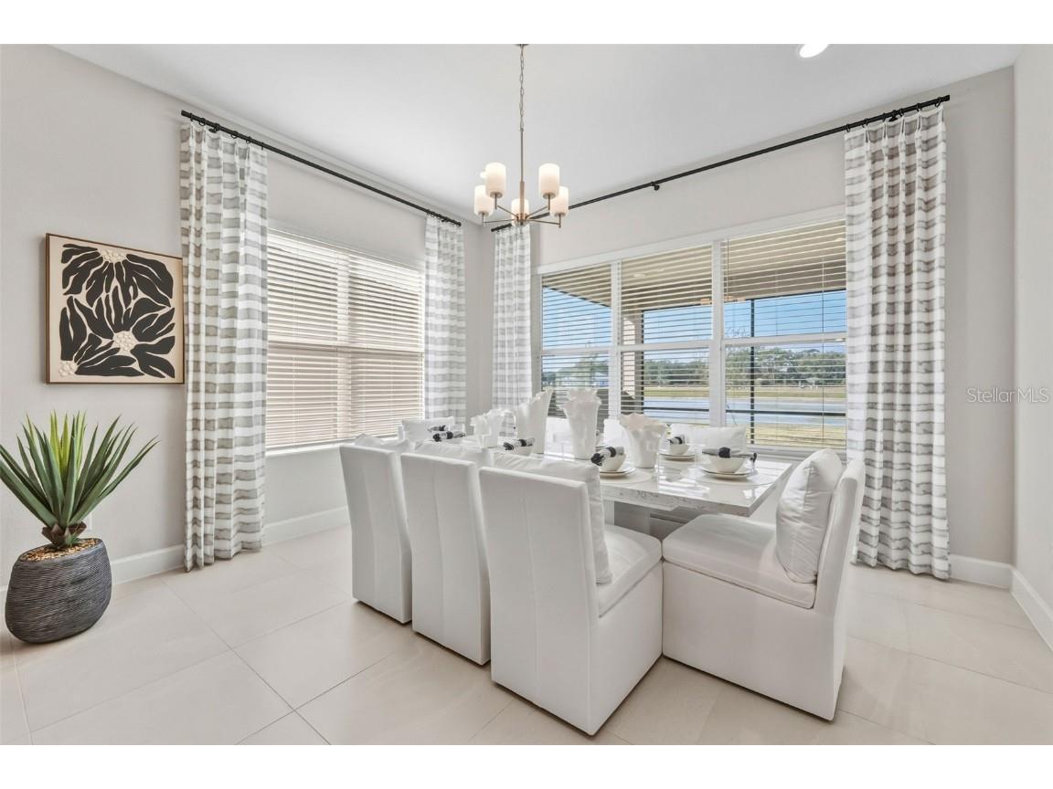 3923 Corsica Place Wesley Chapel FL 33543 TB8381732 image14