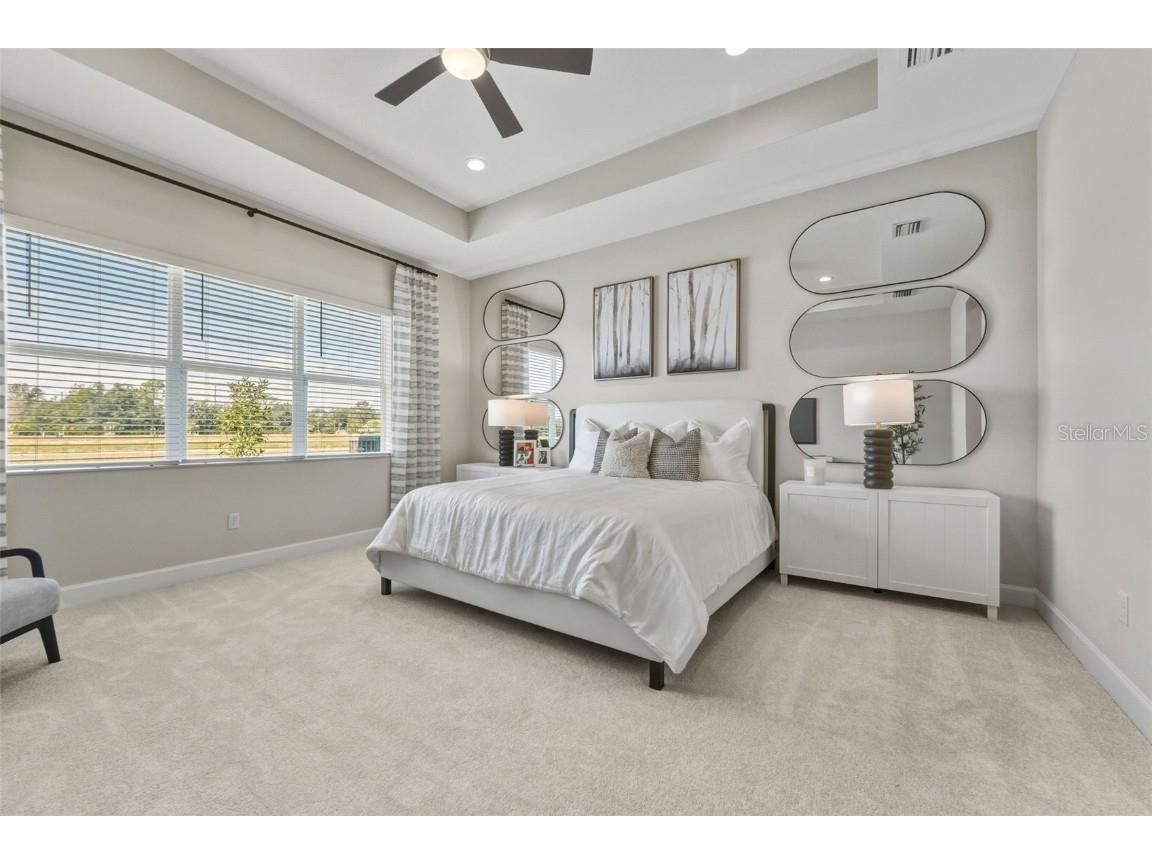 3923 Corsica Place Wesley Chapel FL 33543 TB8381732 image15