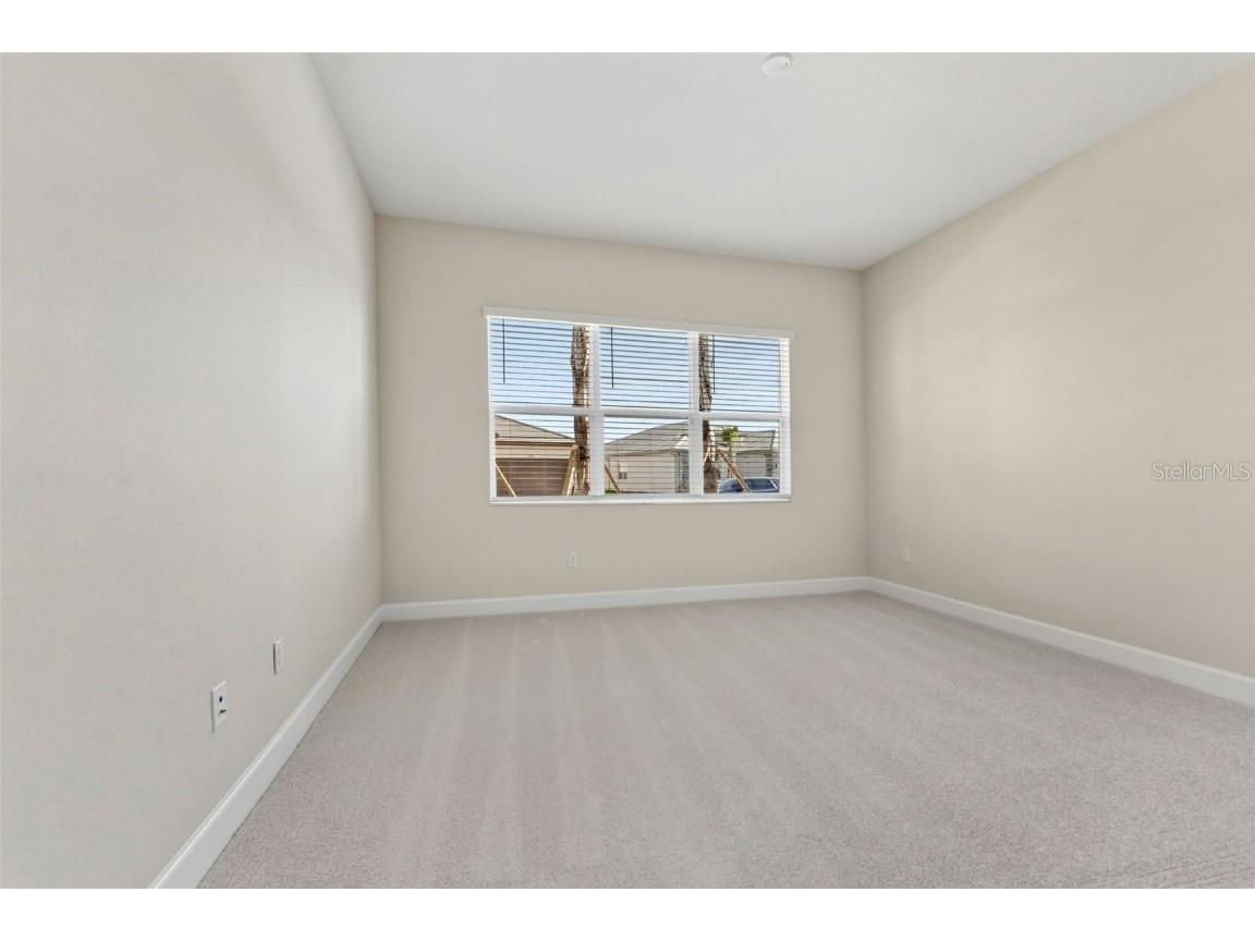 3923 Corsica Place Wesley Chapel FL 33543 TB8381732 image20