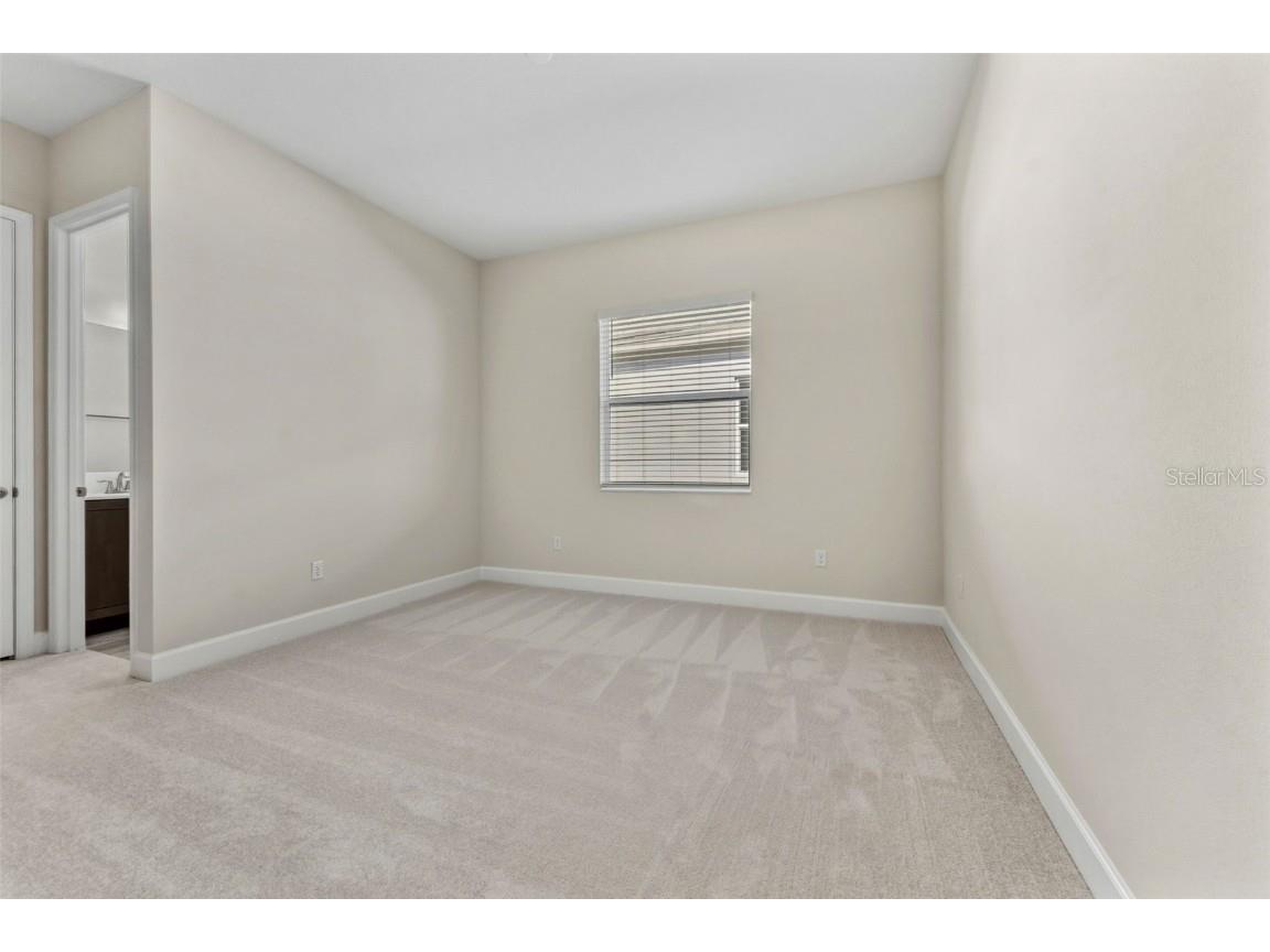 3923 Corsica Place Wesley Chapel FL 33543 TB8381732 image22