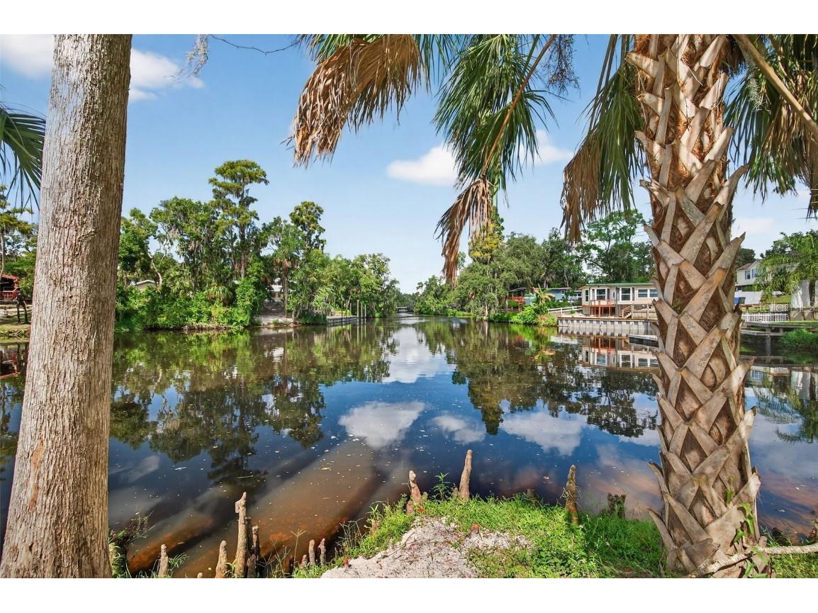 3924 Alafia Boulevard Brandon FL 33511 TB8434766 image1