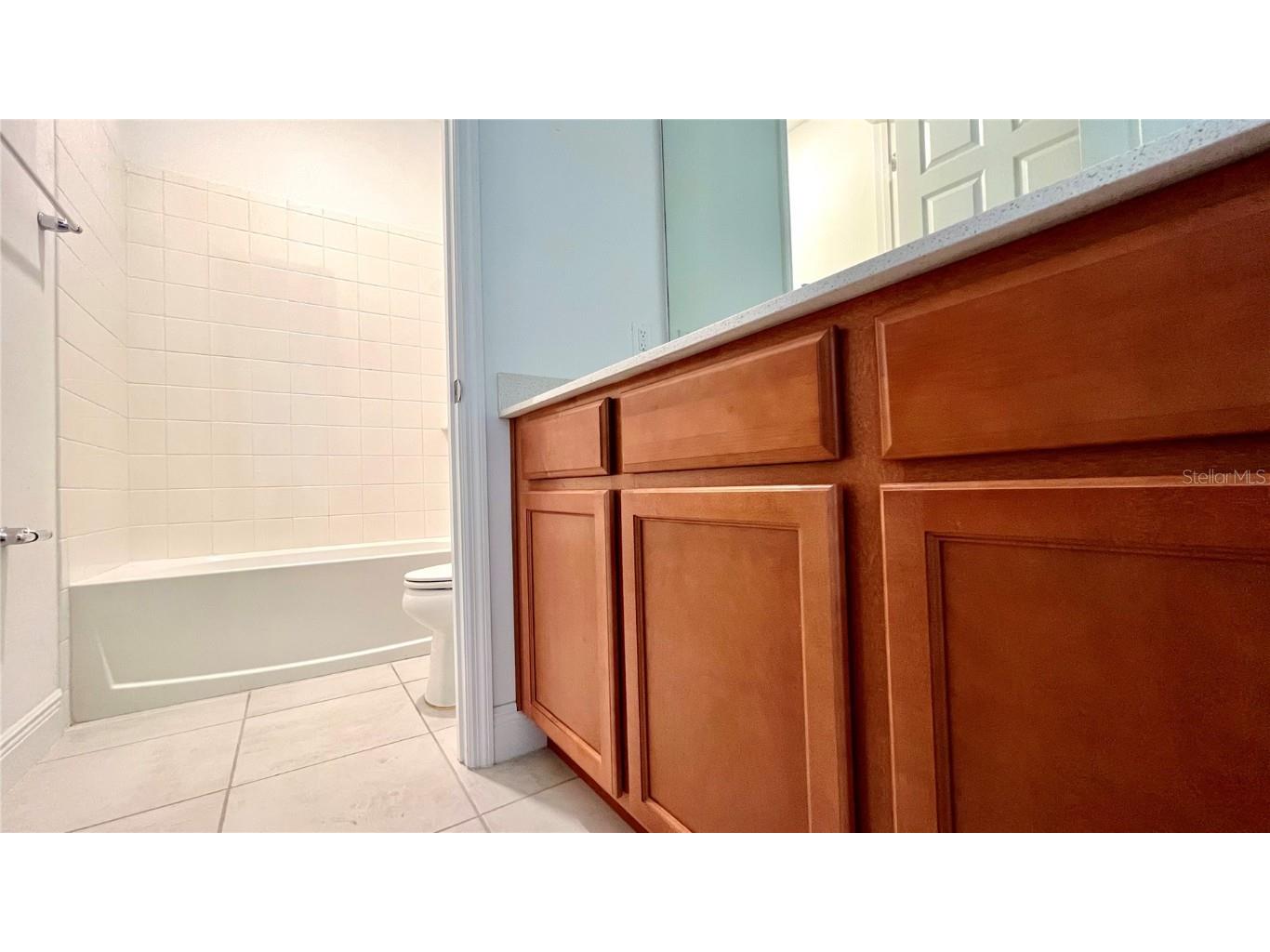 3924 Carrick Bend Drive Kissimmee FL 34746 S5095956 image10