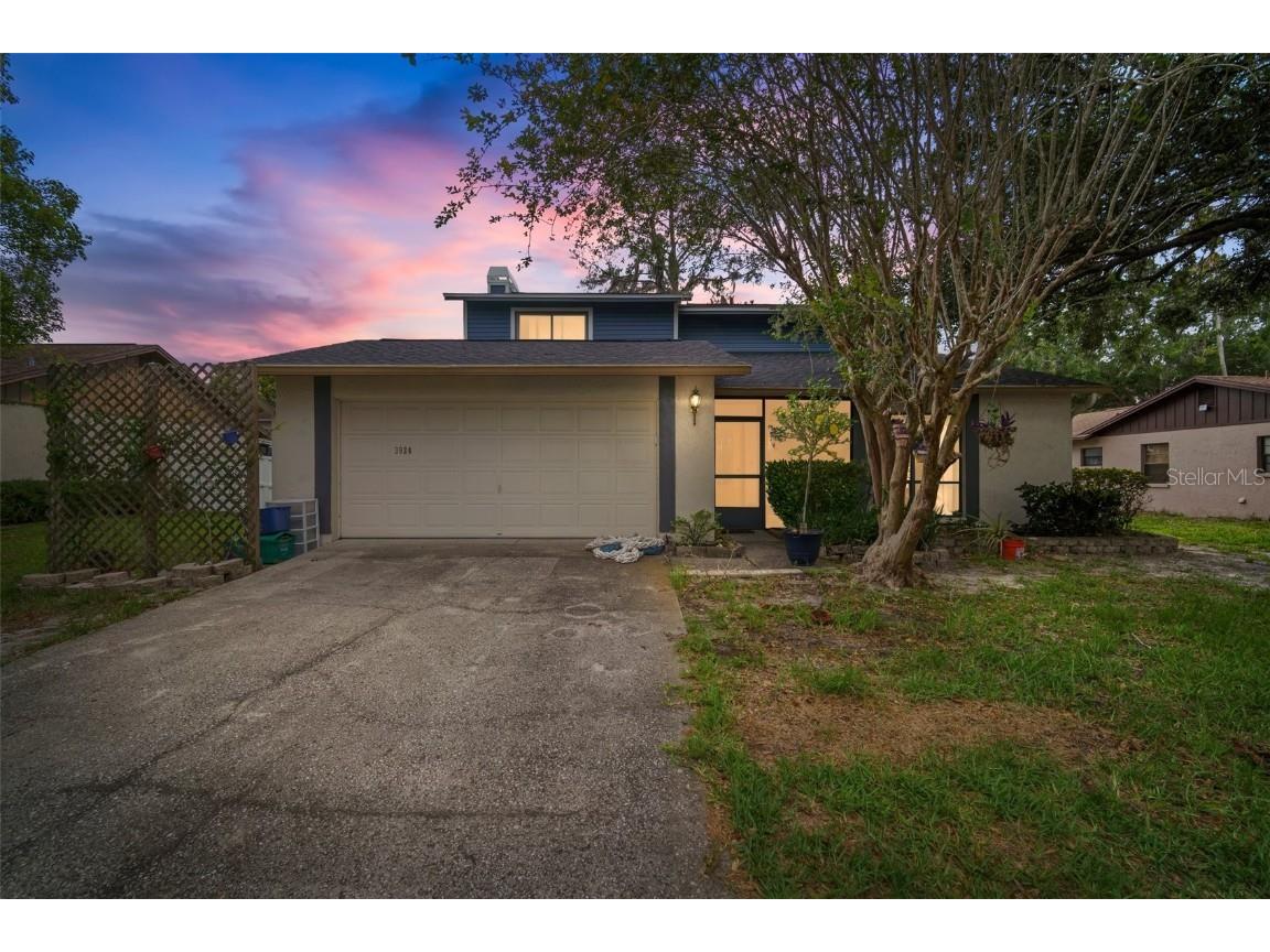 3924 Dunaire Drive Valrico FL 33596 T3453565 image1