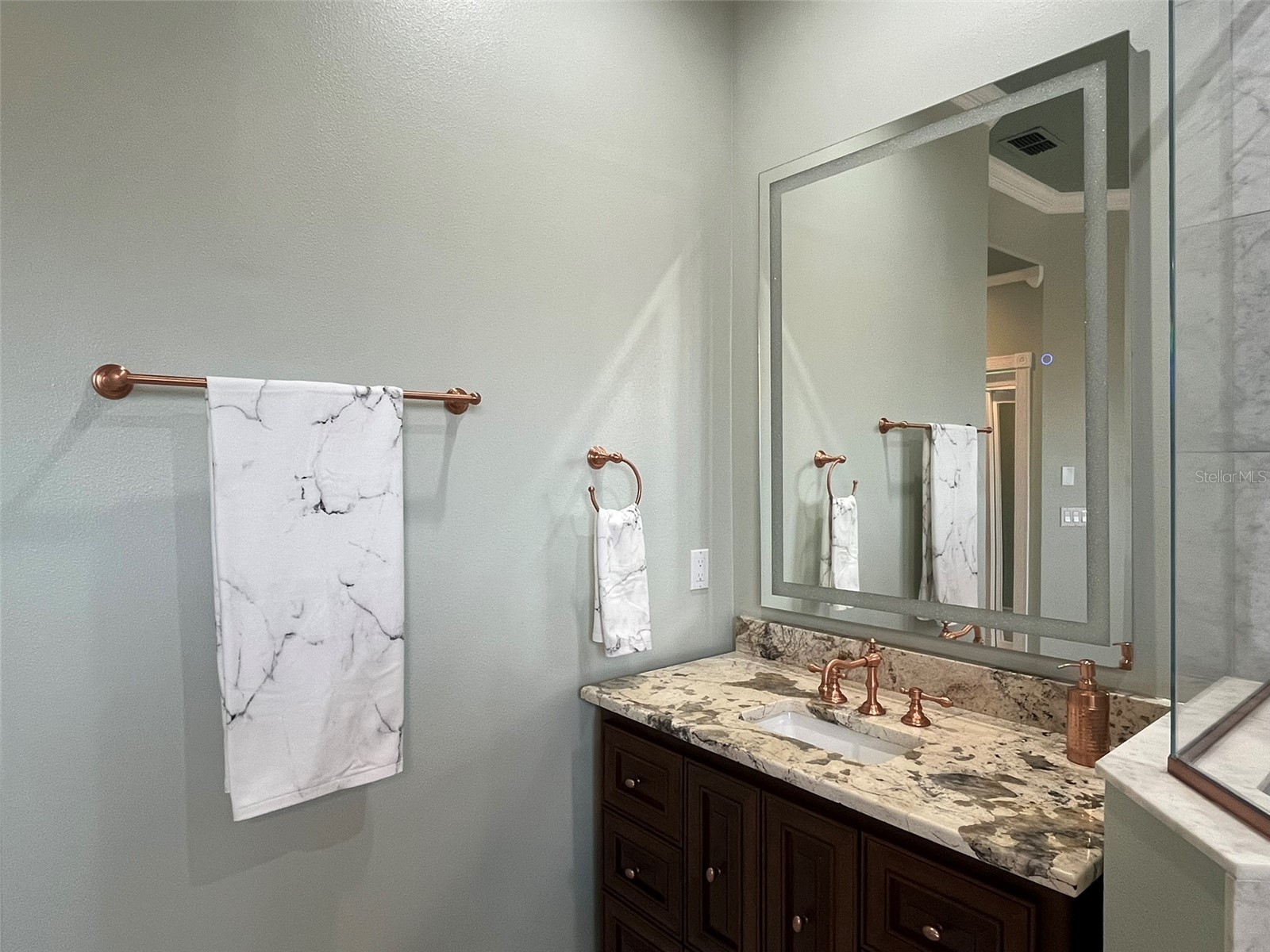 3924 Sunnybrook Court Orlando FL 32820 S5150757 image35