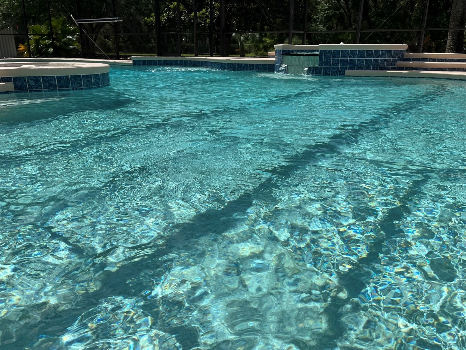3924 Sunnybrook Court Orlando FL 32820 S5150757 image46