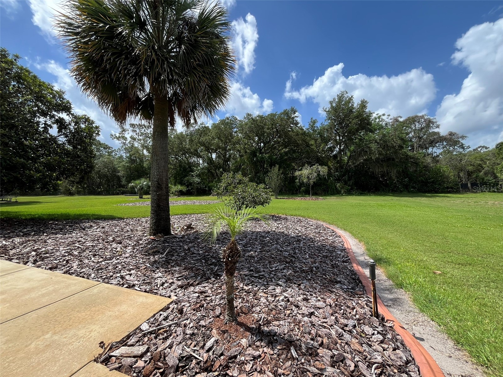 3924 Sunnybrook Court Orlando FL 32820 S5150757 image52