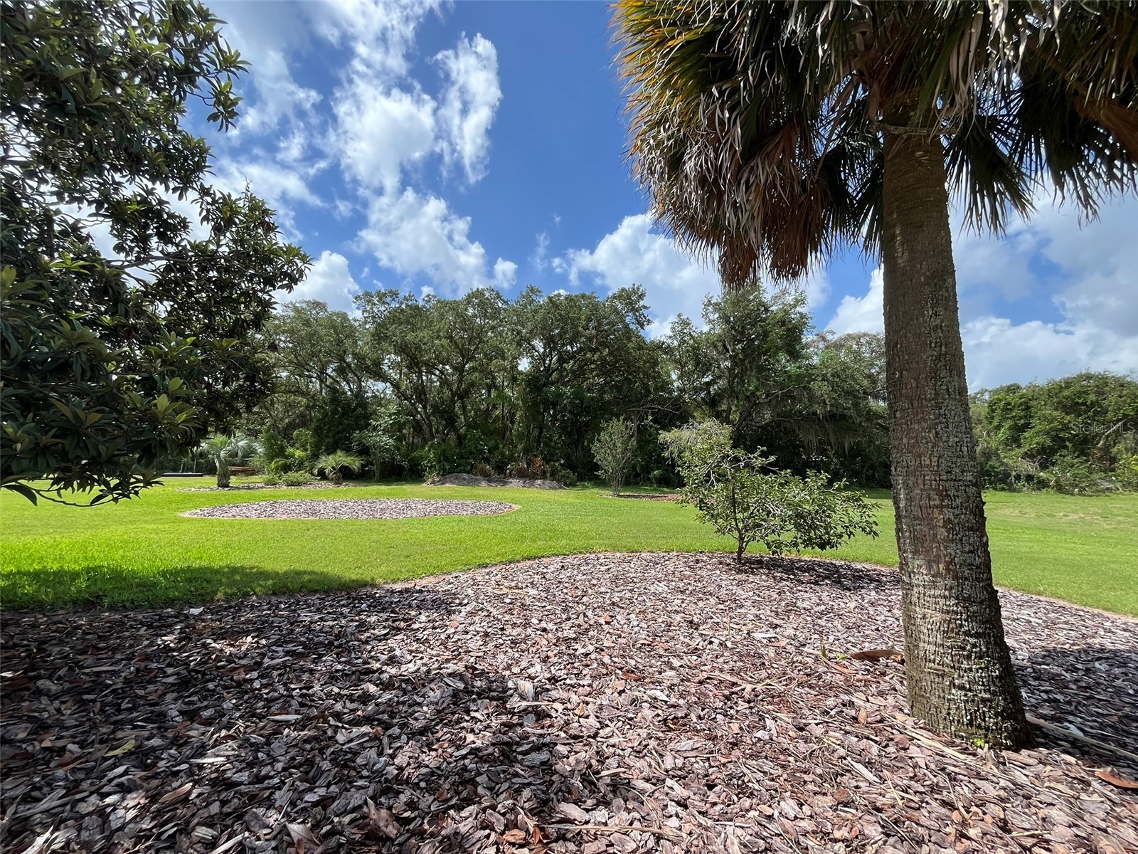 3924 Sunnybrook Court Orlando FL 32820 S5150757 image53