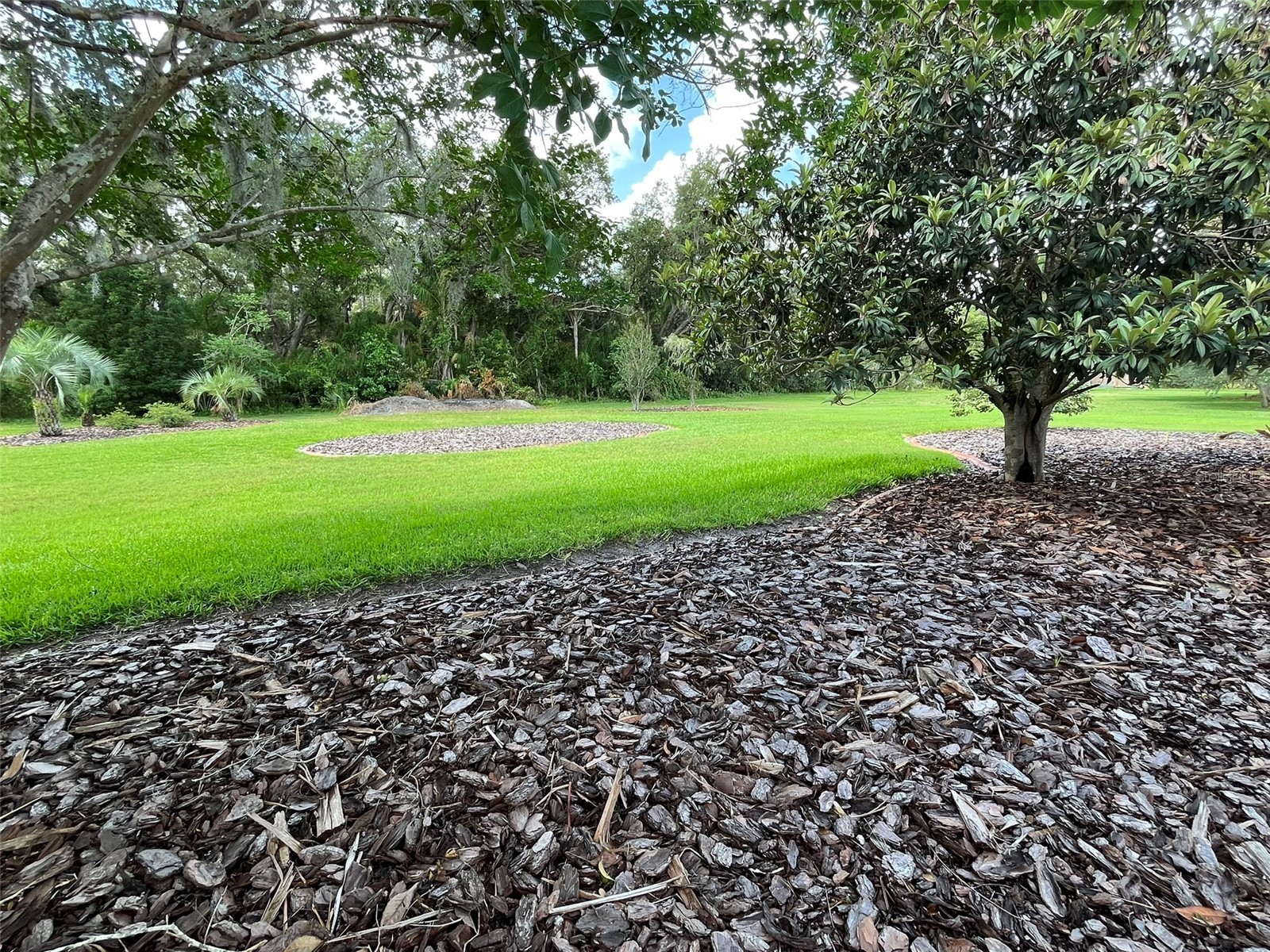 3924 Sunnybrook Court Orlando FL 32820 S5150757 image54