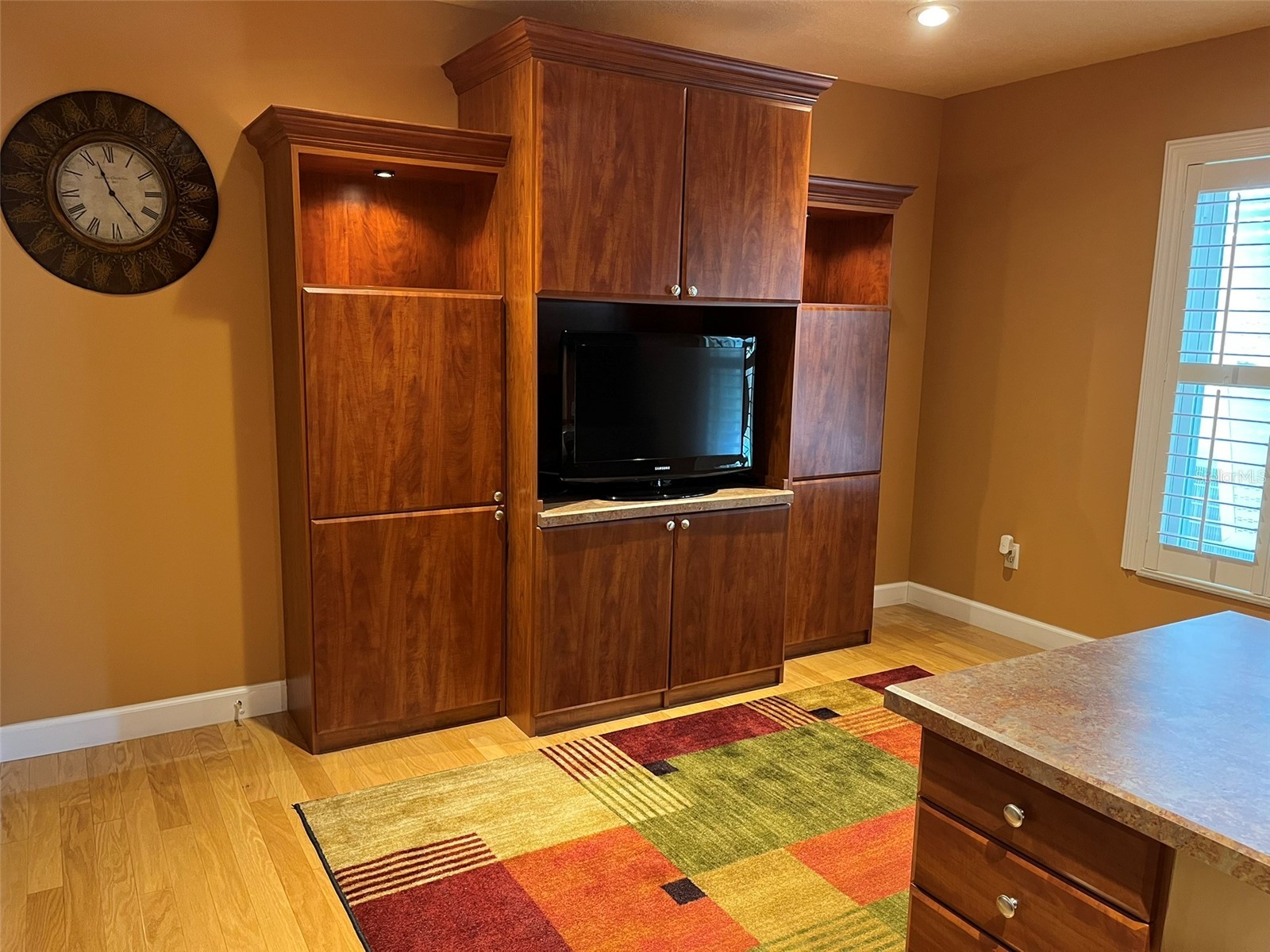 3924 Sunnybrook Court Orlando FL 32820 S5150757 image72