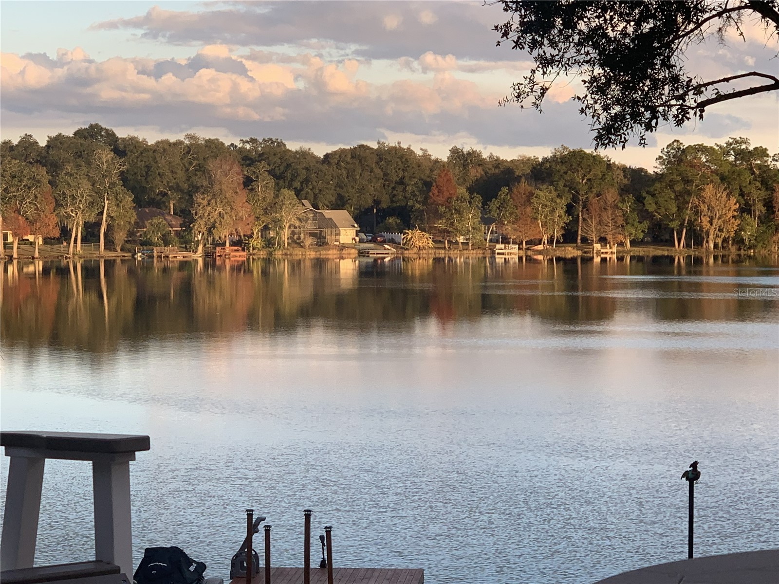 3924 Woodpecker Drive Fruitland Park FL 34731 - LAKE IDLEWILD G5108834 image56