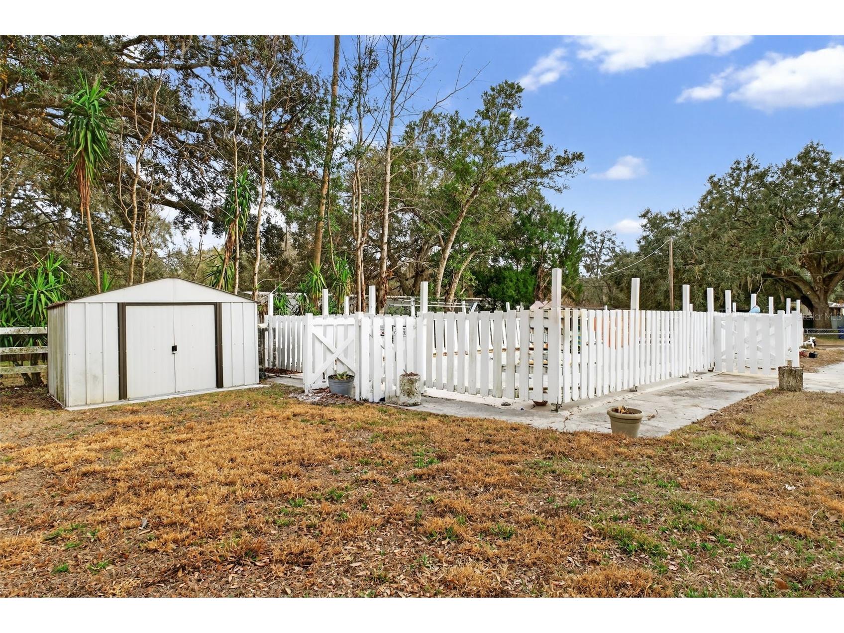 39243 Lizabeth Circle Zephyrhills FL 33542 TB8501487 image50