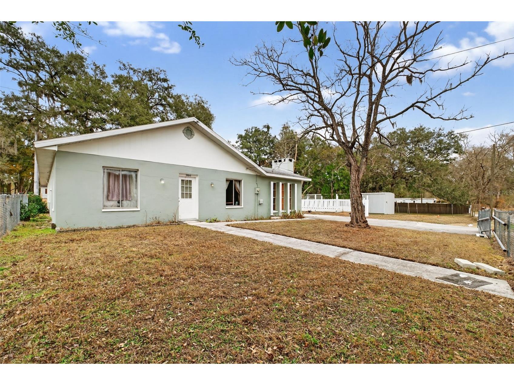 39243 Lizabeth Circle Zephyrhills FL 33542 TB8501487 image7