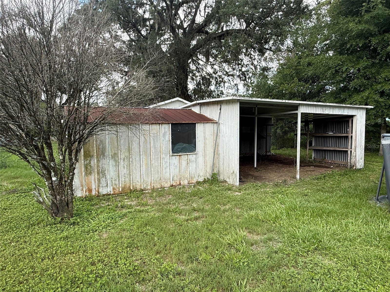 39246 Lizabeth Circle Zephyrhills FL 33542 TB8515325 image17