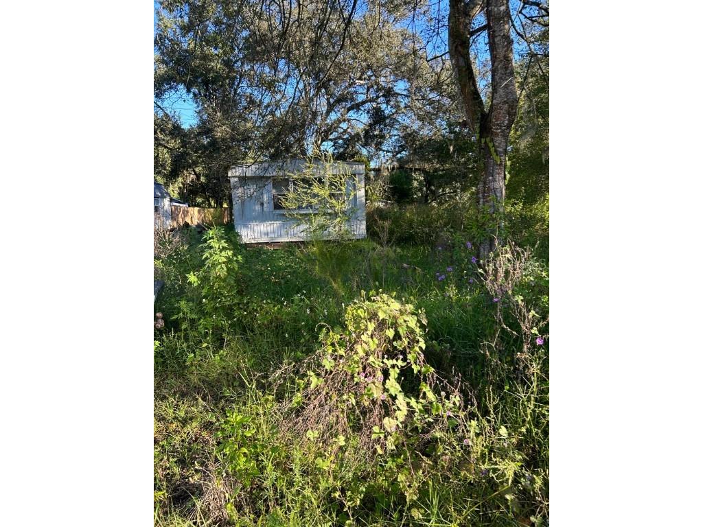 39249 Lizabeth Circle Zephyrhills FL 33542 TB8454491 image1