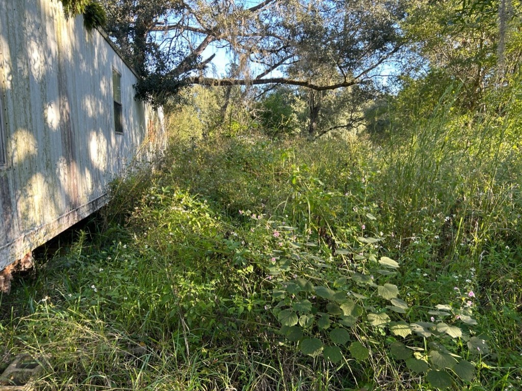 39249 Lizabeth Circle Zephyrhills FL 33542 TB8454491 image3