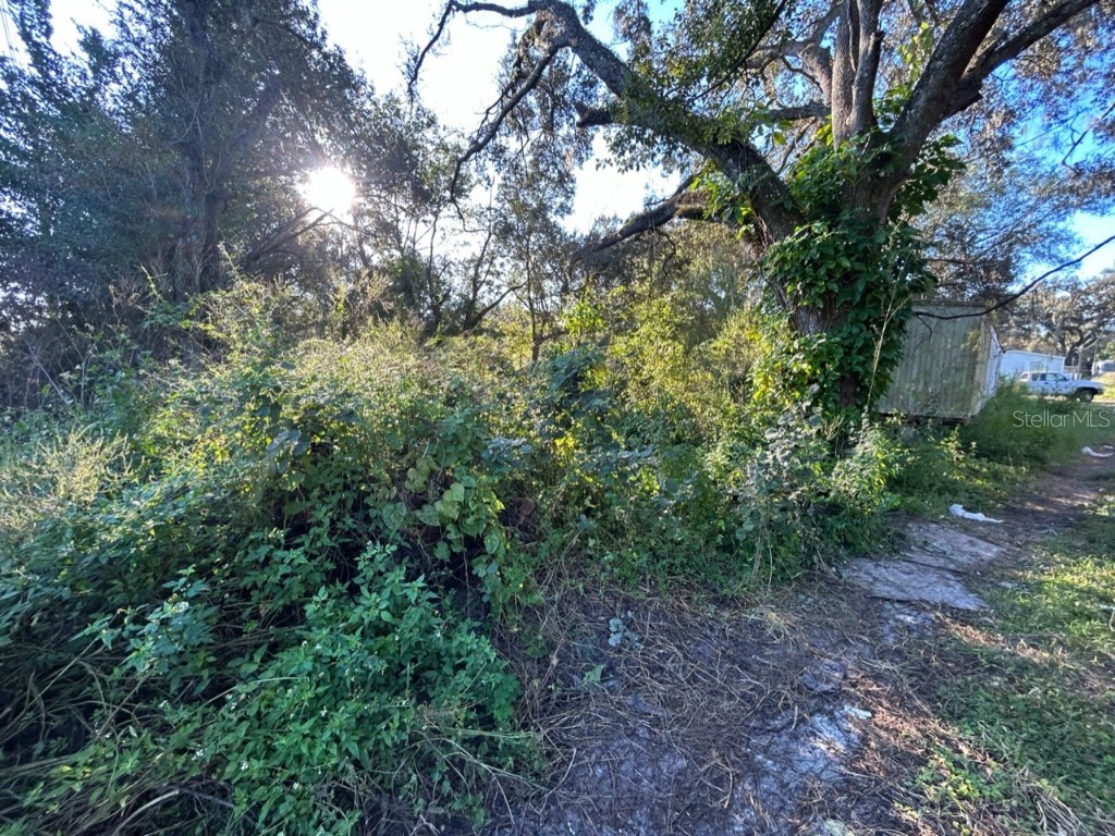 39249 Lizabeth Circle Zephyrhills FL 33542 TB8454491 image4