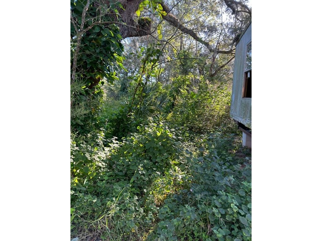 39249 Lizabeth Circle Zephyrhills FL 33542 TB8454491 image7