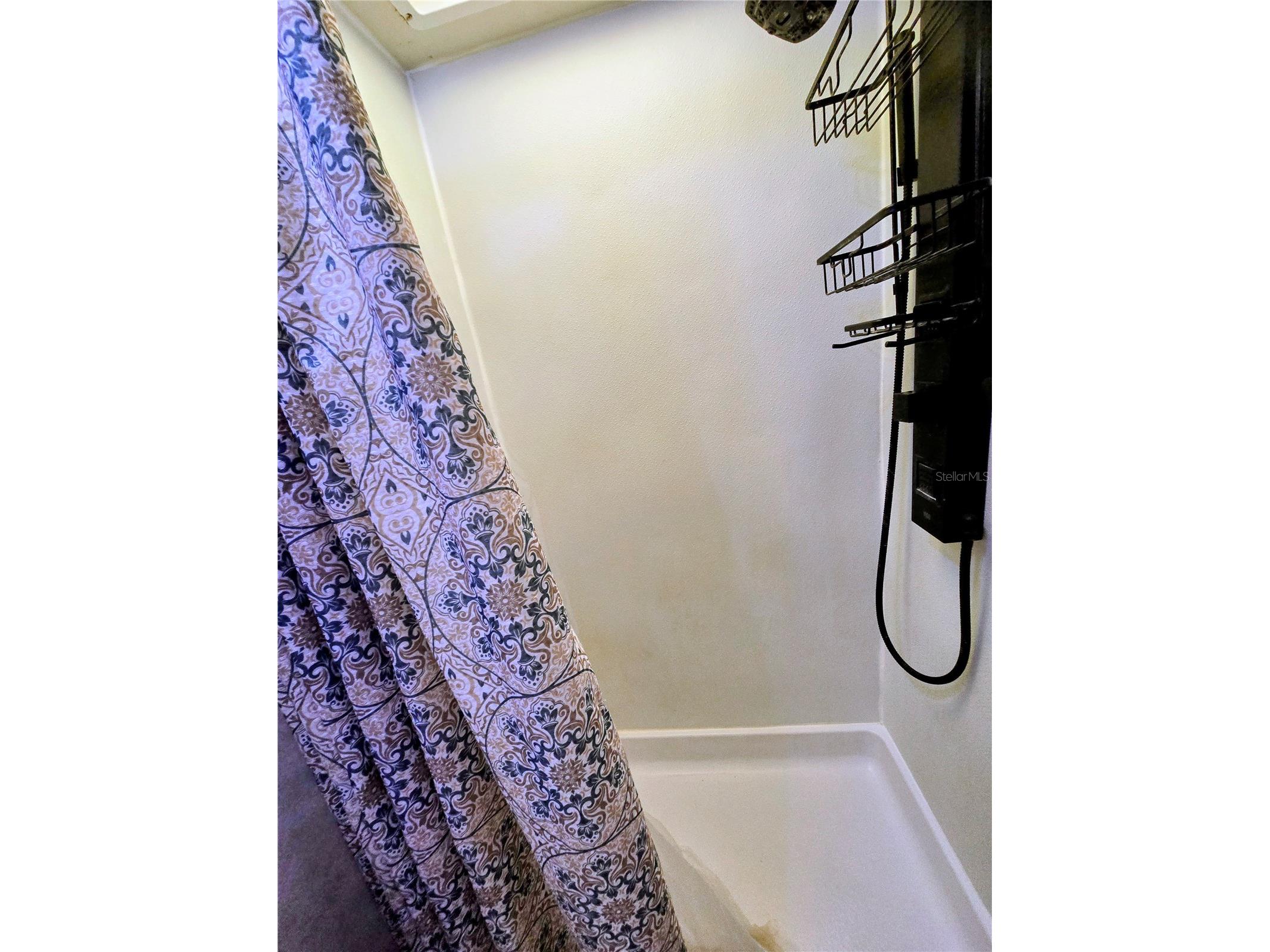 39249 Nanian Drive Zephyrhills FL 33542 TB8501669 image16