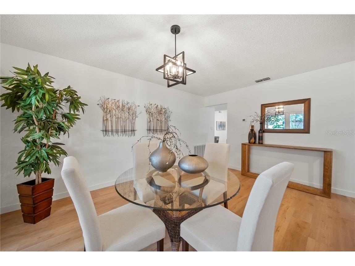 3925 Dunaire Drive Valrico FL 33596 TB8388619 image10