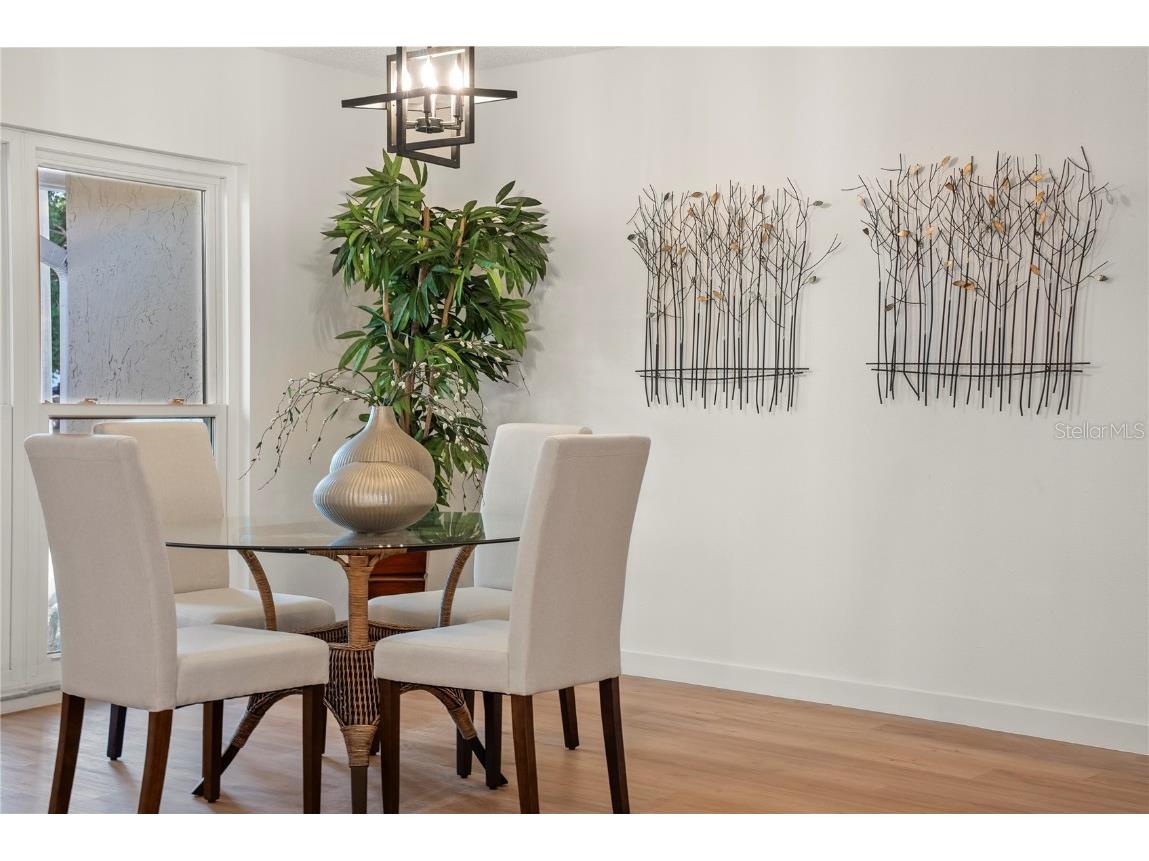 3925 Dunaire Drive Valrico FL 33596 TB8388619 image11