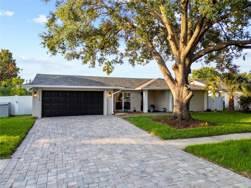 3925 Dunaire Drive Valrico FL 33596 TB8388619 image2