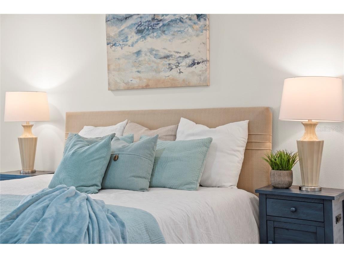 3925 Dunaire Drive Valrico FL 33596 TB8388619 image23