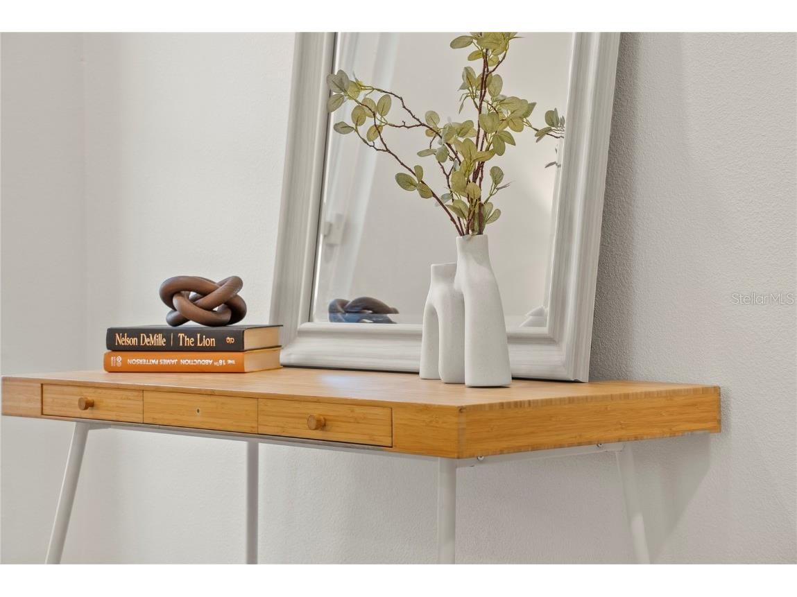 3925 Dunaire Drive Valrico FL 33596 TB8388619 image25