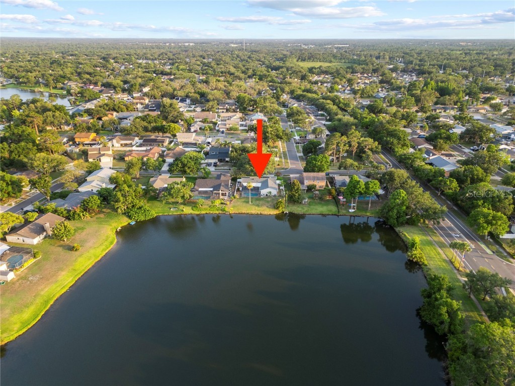 3925 Dunaire Drive Valrico FL 33596 TB8388619 image3