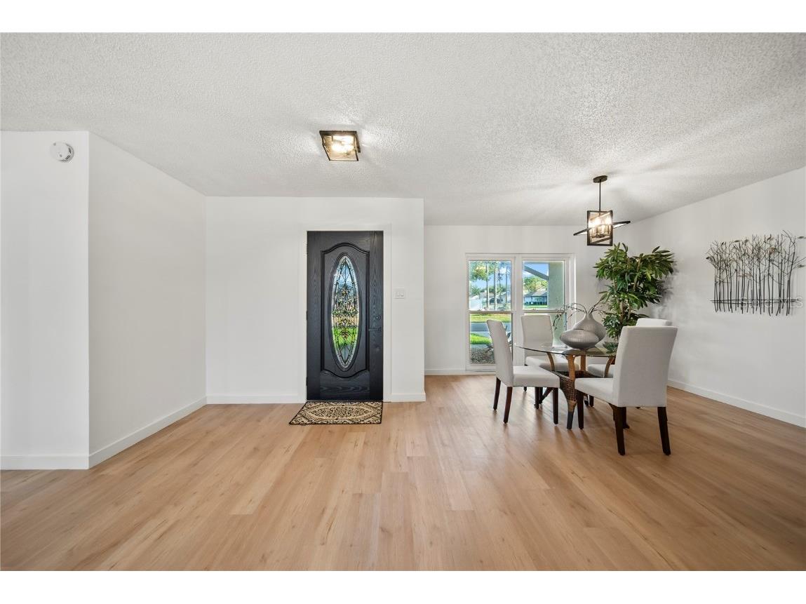 3925 Dunaire Drive Valrico FL 33596 TB8388619 image4