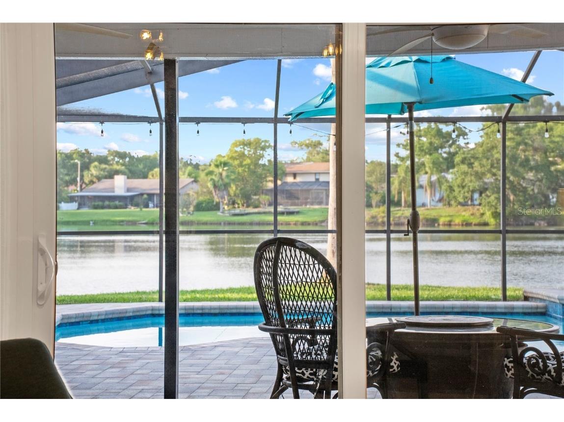 3925 Dunaire Drive Valrico FL 33596 TB8388619 image42