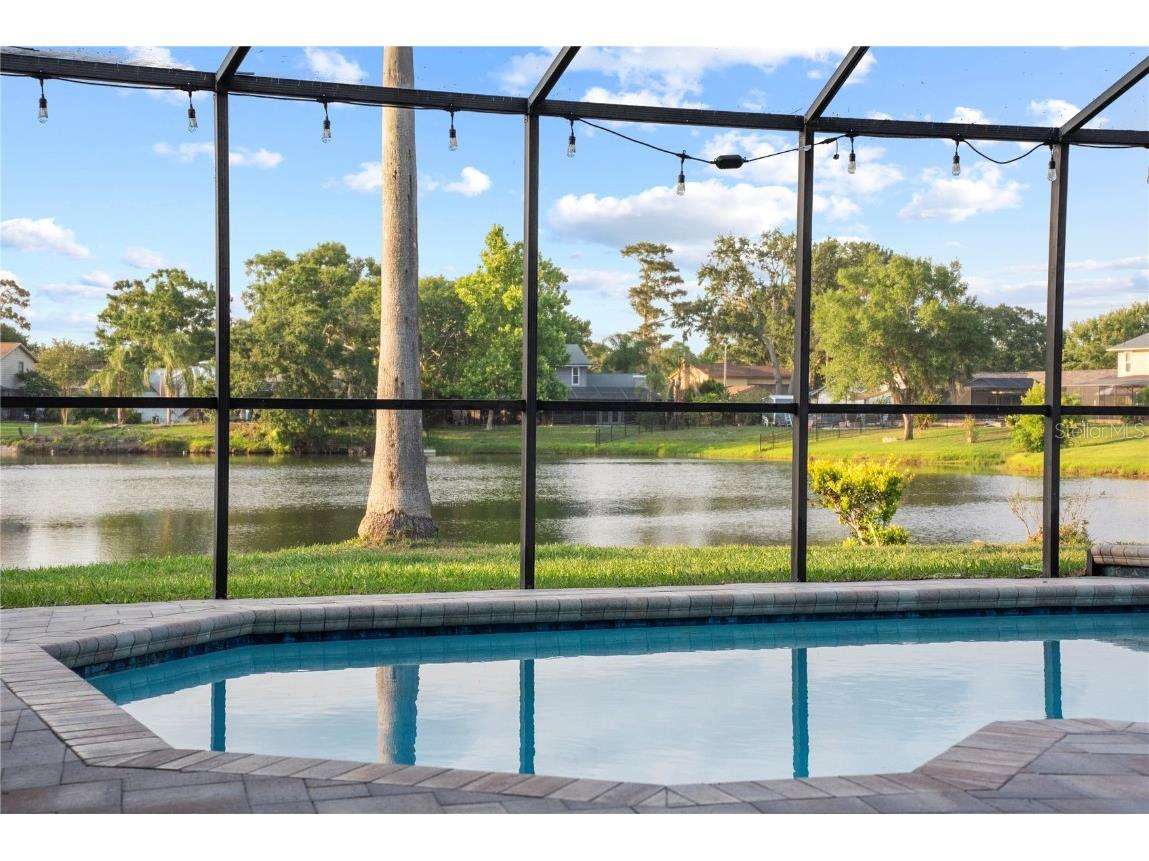 3925 Dunaire Drive Valrico FL 33596 TB8388619 image44